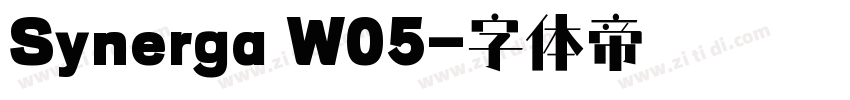 Synerga W05字体转换